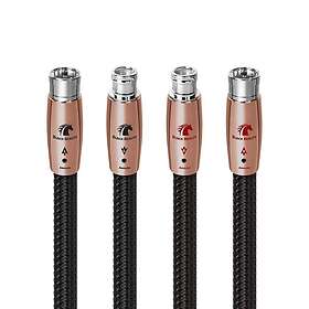 Audioquest Black Beauty (XLR) Signalkabel AQBLACKBEAUTYIN200X