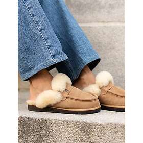 Shepherd Charlie (Dam)