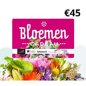 Bloemen Cadeau EUR 45 Gift Card NL
