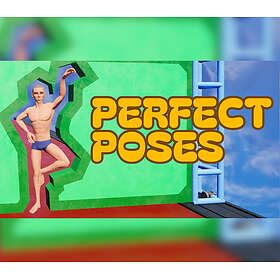 Perfect Poses (PC)