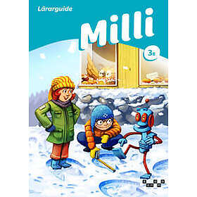 Milli matematik 3B Lärarguide