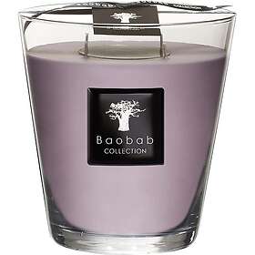 Baobab Collection All-SeasonsWhite Rhino Scented Candle 1000g