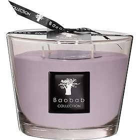 Baobab Collection All-SeasonsWhite Rhino scented candle Max 10 500g