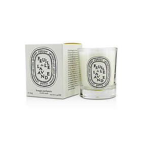 Diptyque Feuille De Lavande Scented Candle 70g