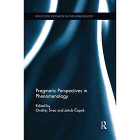 Pragmatic Perspectives in Phenomenology (häftad, eng)