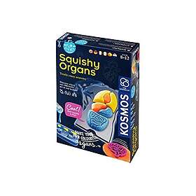 Kosmos Fun Science Squishy Organs KOS61681