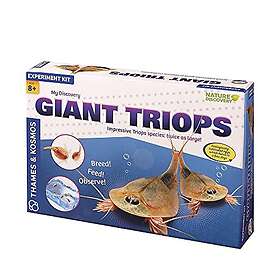Kosmos Triops My Discovery Science KOS1044