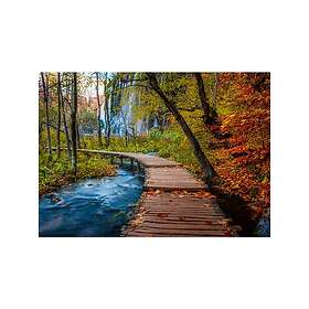 Ravensburger Høstlig trestamme 1000 Brikker