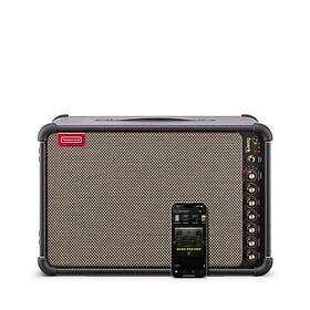 Positive Grid Spark Live