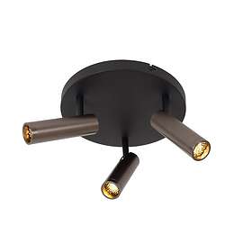 Lucide Grado 3