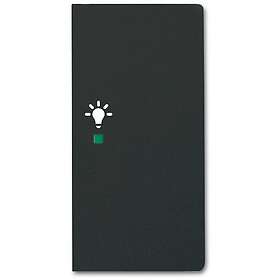 ABB Future Linear Bryter 6220-0-0629