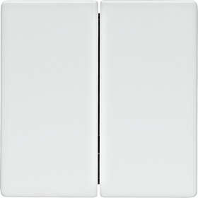 Berker Q.1/Q.3 Kaksoispainike 7917041728