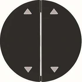 Berker R.1/R.3 Strömbrytare 16442045