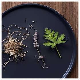 IKEA FRUKTSKOG Doftljus 20h