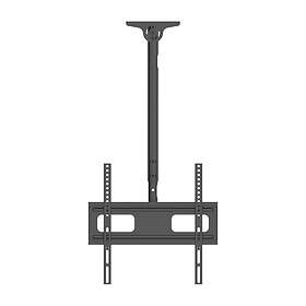 Dacota DACEMO2 23"–60"