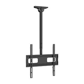 Dacota DACEMO1 23–60"