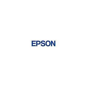 Epson C13T49F800 (Pink)