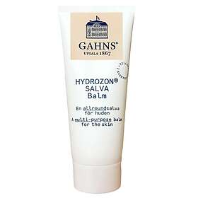 Gahns Hydrozonsalva 100ml