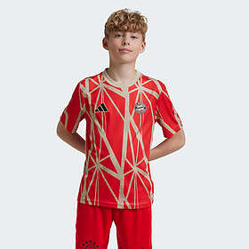 Adidas Fc Bayern Munich 24/25 Pre Match Junior Kortärmad T-shirt