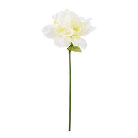 Mr Plant Konstgjord Växt Amaryllis 63 cm Vit 4523-10