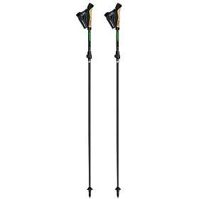Gabel Springbok Xts