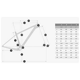 Coluer Ascent 29´´ Race 525