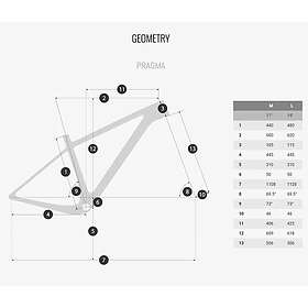Coluer Pragma 29´´ Race Judy