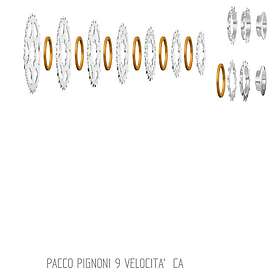 Miche Primato 9s Campagnolo 9 Gear 13-25T