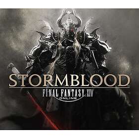 Final Fantasy XIV Online + 2 DLC (PC)