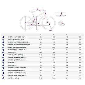 Liv Amiti E+ 4 Syncdrive Sport (Elcykel)