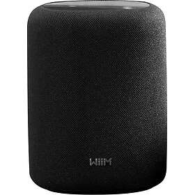 WiiM Sound Lite Bluetooth-høyttaler