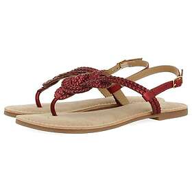 Gioseppo Zupanja (Women's)