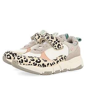 Gioseppo Werdau (Jr)