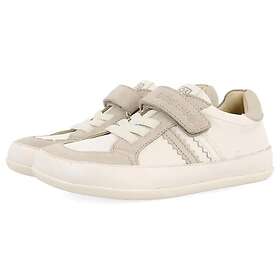 Gioseppo Skradin (Jr)