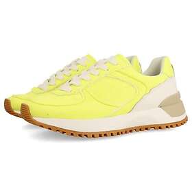 Gioseppo Tully (Dam)