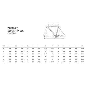 Bianchi Zolder Pro Ultegra Di2