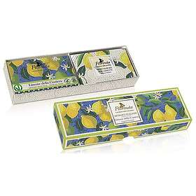 Florinda Coastal Lemon Soap Presentförpackning