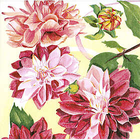 Daybyday servietter 33x33cm dahlia