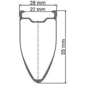 DT Swiss Arc 1100 Dicut 55 12x142mm Disc Tubeless Vej Baghjul