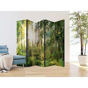 Artgeist Untamed Nature II Tilanjakaja 225x172cm (MSE-PARAVENT1137)