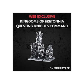 Warhammer Questing Knights The Old World