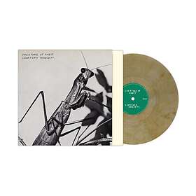 Courtney Barnett Creature Of Habit LP/Vinyl