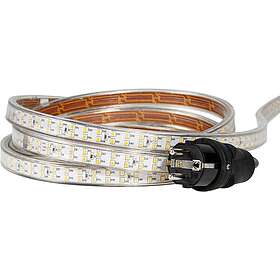 Trend 400795