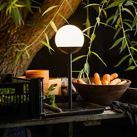 Northlight Bordslampa