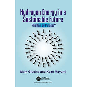 Hydrogen Energy in a Sustainable Future (häftad, eng)