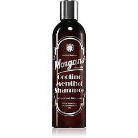 Morgan's Kylande Menthol Schampo 250ml