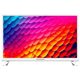 Schneider GMS24N100W 24" HD Ready TV