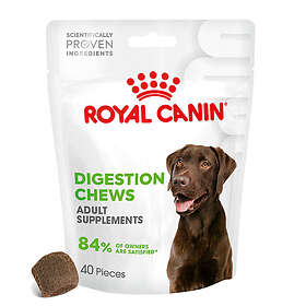 Royal Canin Digestion Adult Supplement Koiran Herkut 160g