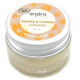 ENDRO COSMETICS Mint Citrus Fruits Läppbalsam