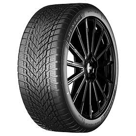 Dunlop Tires Winter 255/45 R19 104V XL